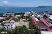 Những khu đất triệu đô ven biển Nha Trang bị bỏ hoang cho cỏ mọc