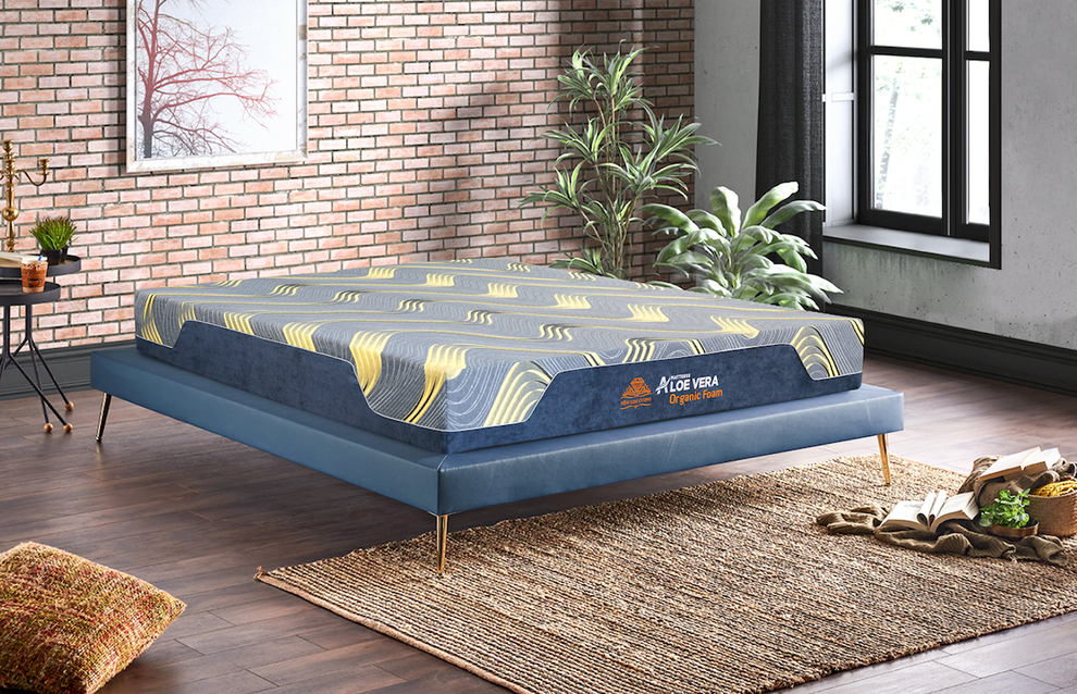 Giấc ngủ kim cương trong giai đoạn bình thường mới - 2 Giấc ngủ kim cương trong giai đoạn bình thường mới - 2