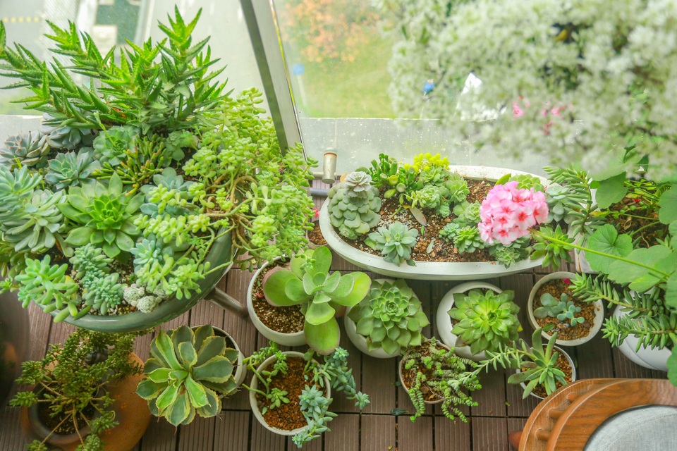 Ngôi nhà với ban công đẹp như cổ tích của nữ nhà báo điều tra nổi tiếng VTV - 9 Ngôi nhà với ban công đẹp như cổ tích của nữ nhà báo điều tra nổi tiếng VTV - 9