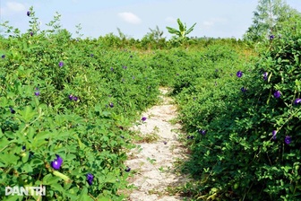 Đất nông nghiệp đã trích đo, có được chuyển đổi sang đất ở nông thôn?