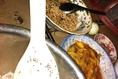 Xuất hiện côn trùng lạ “tấn công” nhà dân