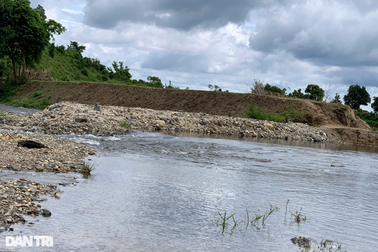 Vụ chặn suối nuôi cá tầm: Huyện nhận sai, xin rút kinh nghiệm