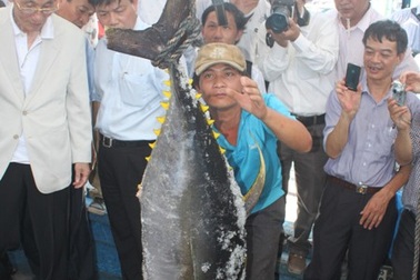 Chuyên gia Nhật chuyển giao công nghệ câu cá ngừ cho ngư dân VN