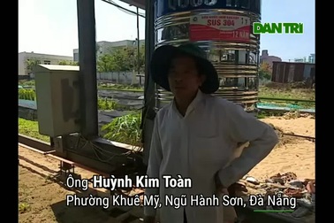 Kỹ sư chế tạo máy về trồng rau sạch, thu 15 triệu đồng/tháng