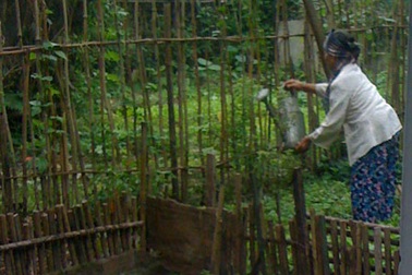  Công dân bức xúc vì phường Tân Hòa bao che sai phạm