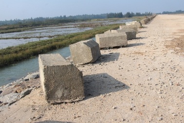 Phát hiện nhiều "vấn đề" tại dự án đê hơn 80 tỷ đồng