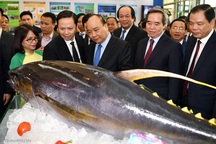 Thủ tướng: Cần nghiêm trị kẻ đưa thuốc trừ sâu quá mức vào nông sản