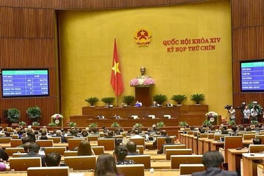 Không giới thiệu, hứa hẹn, điện thoại với ứng viên đại biểu Quốc hội!