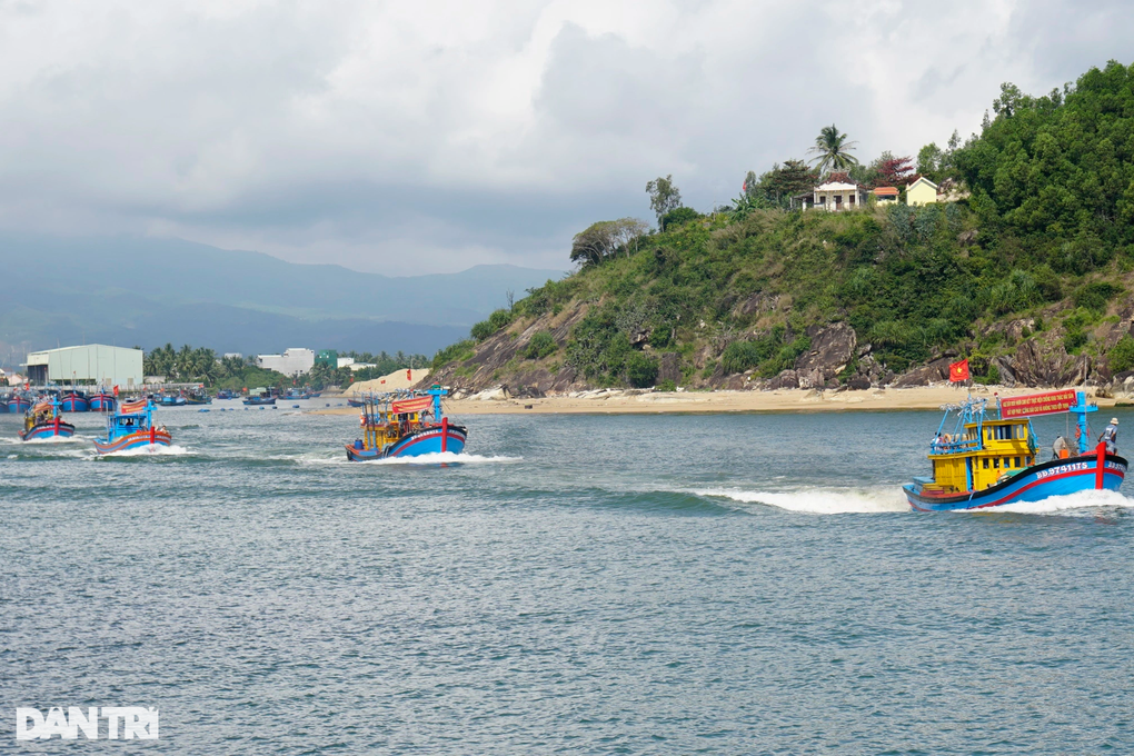 Đội tàu khủng săn cá ngừ trang bị tiền tỷ, đi chuyến biển đầu năm - 1 Đội tàu khủng săn cá ngừ trang bị tiền tỷ, đi chuyến biển đầu năm - 1