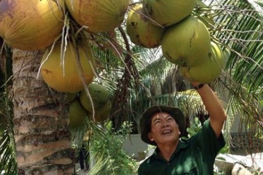 Trên bờ trồng dừa, dưới vuông nuôi cua kềnh, mà xây được "biệt phủ"