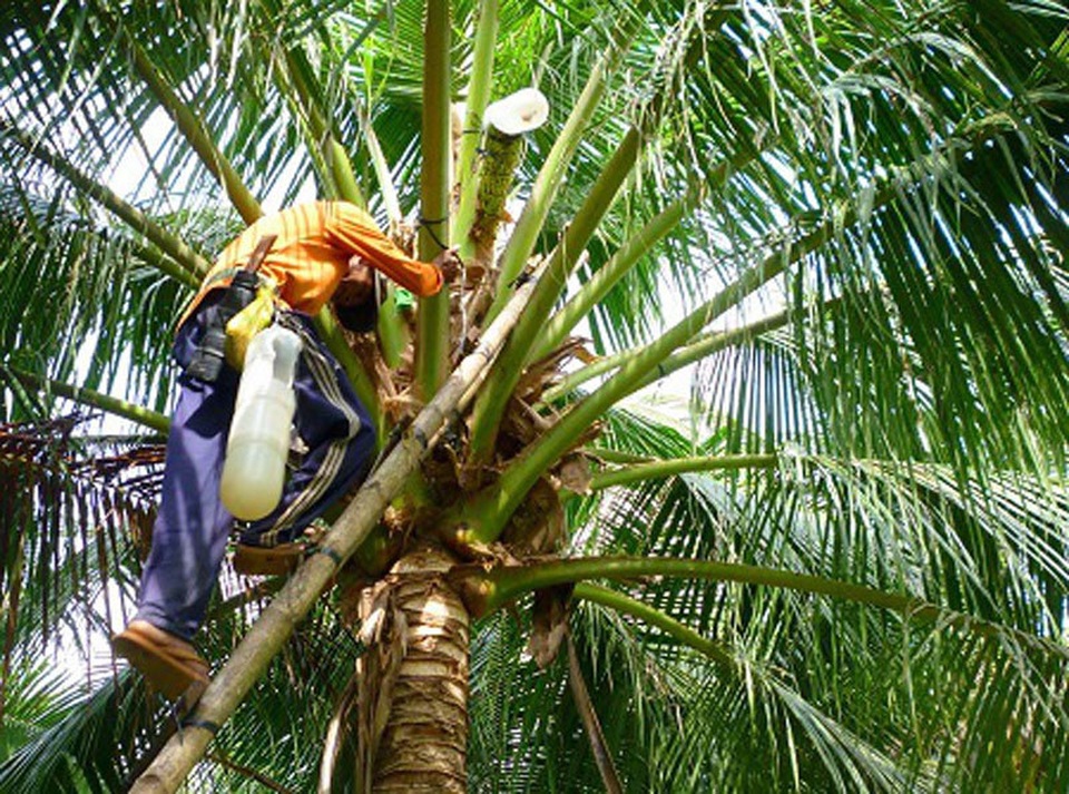 Vườn lan đột biến giá hàng chục tỷ của ông chủ kín tiếng Hà thành - 6 Vườn lan đột biến giá hàng chục tỷ của ông chủ kín tiếng Hà thành - 6