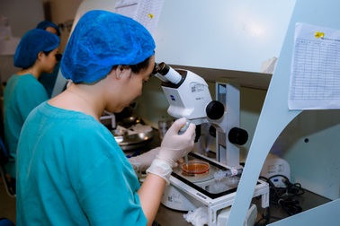 Nam giới Việt ngày càng ít tinh trùng, nguyên nhân từ lối sống?