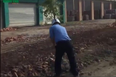 Video: Cán bộ Hạt QLĐB Kim Liên triệt hạ cây sao đen.