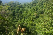 Huy động lực lượng tìm người đàn ông mất tích khi đi hái thuốc