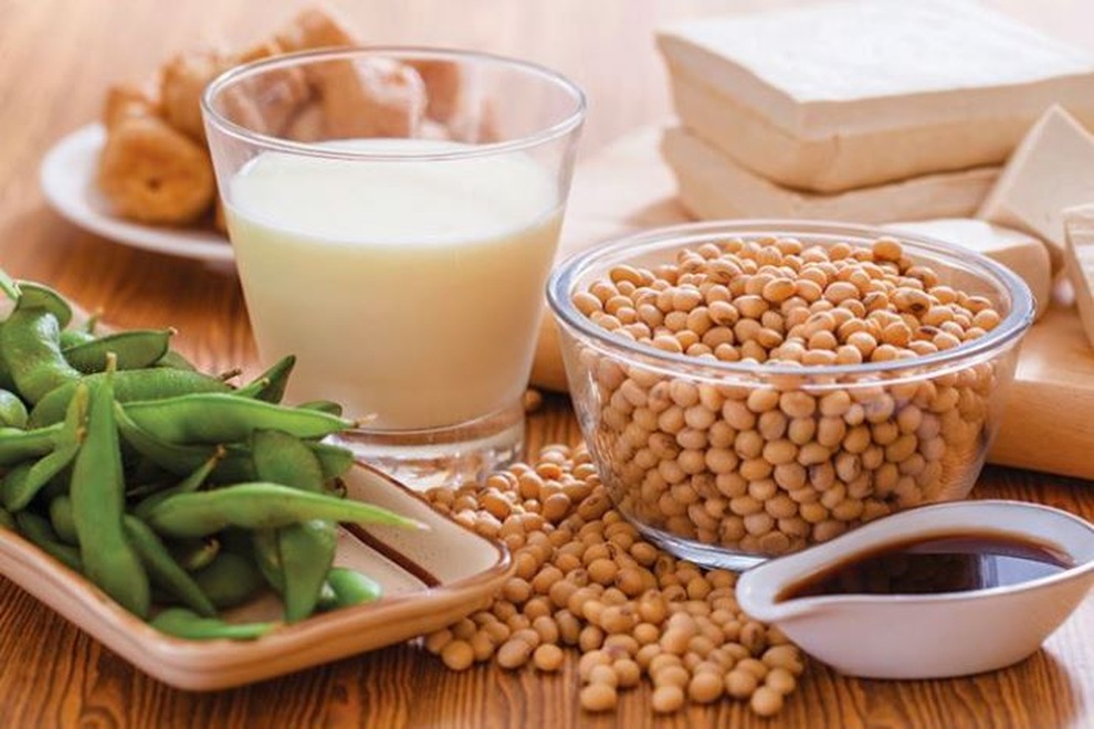 Đậu nành, lợi hay hại đối với bệnh nhân ung thư vú? - 1 Đậu nành, lợi hay hại đối với bệnh nhân ung thư vú? - 1