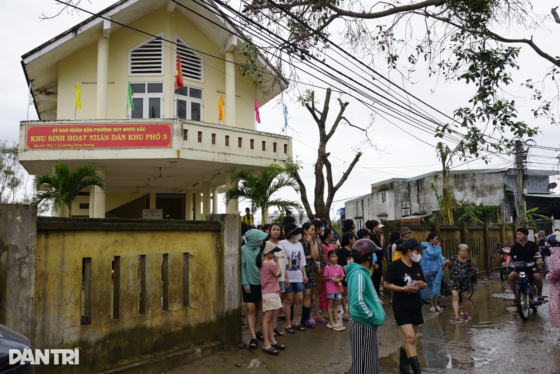 Người phụ nữ nghèo bật khóc vì 6 con bò bị lũ dữ cuốn trôi - 9