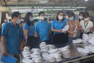 Giải quyết việc làm mới cho hơn 13.000 lao động