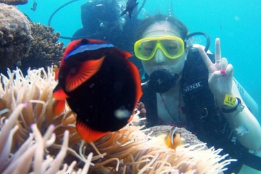 Khám phá rạn san hô muôn sắc màu ở "thiên đường biển" Kỳ Co- Eo Gió