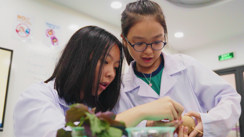 Trường Quốc tế Westlink triển khai học bổng song ngữ THCS cho năm học 2025-2026 - 2 Trường Quốc tế Westlink triển khai học bổng song ngữ THCS cho năm học 2025-2026 - 2