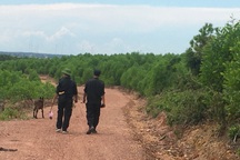 Vụ người phụ nữ tử vong sau vườn nhà: Bất ngờ về nghi phạm gây án