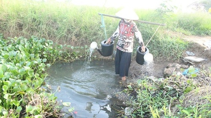 Phương án nhằm đảm bảo công tác phòng, chống khô hạn, xâm nhập mặn phục vụ sản xuất nông nghiệp trên địa bàn thành phố.