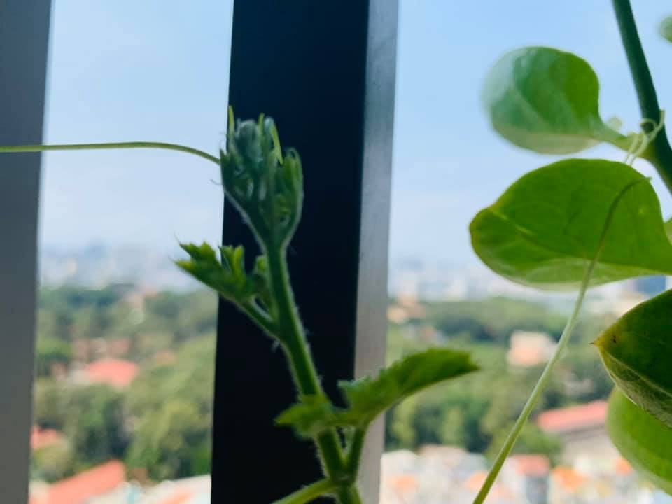Người mẹ cay khóe mắt khi cùng con du lịch qua... ban công - 6 Người mẹ cay khóe mắt khi cùng con du lịch qua... ban công - 6