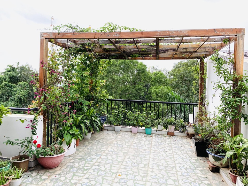 Biệt thự đẹp như trời Âu, bên trong toàn gỗ cao cấp của gia đình ở Hà Nội - 3