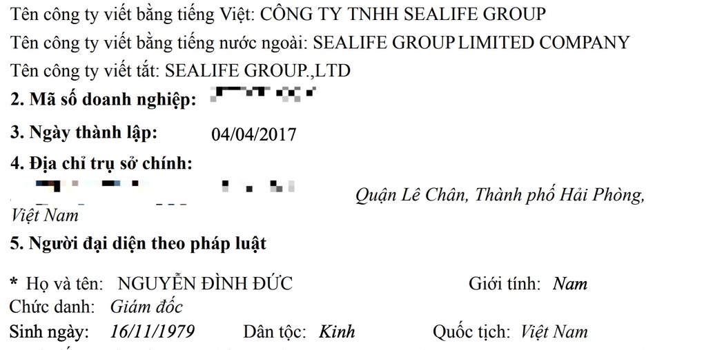 Ha Long Bay boat capsizing: Profile of 2 companies apologizing for fireworks - 1 Vụ lật tàu trên Vịnh Hạ Long: Hồ sơ 2 công ty xin lỗi vì bắn pháo hoa - 1