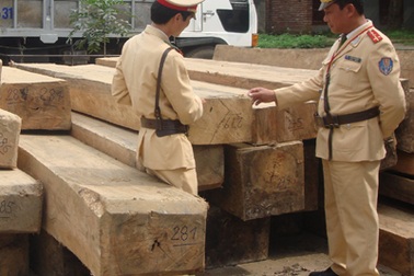 CSGT bắt giữ ô tô gỗ lậu