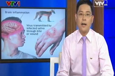  Phòng chống bệnh dại mùa nắng nóng