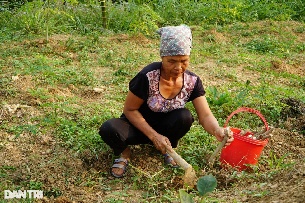 2 người đàn ông tuổi Dậu bỏ lương cao về quê làm chuyện kỳ lạ với trứng gà - 11