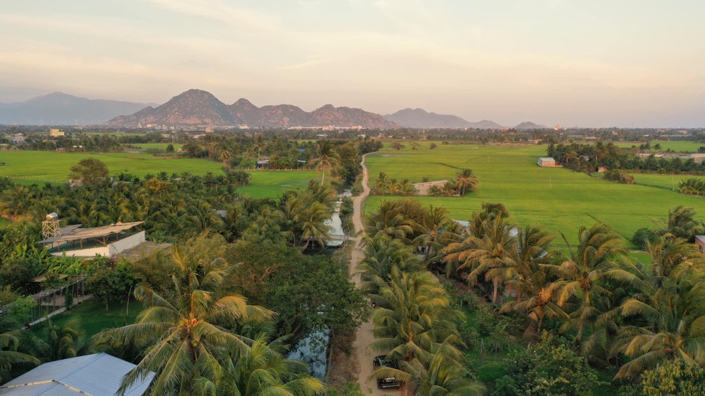 Chàng trai Phan Rang cải tạo vườn dừa làm nơi nghỉ dưỡng tuyệt đẹp tặng mẹ - 1 Chàng trai Phan Rang cải tạo vườn dừa làm nơi nghỉ dưỡng tuyệt đẹp tặng mẹ - 1