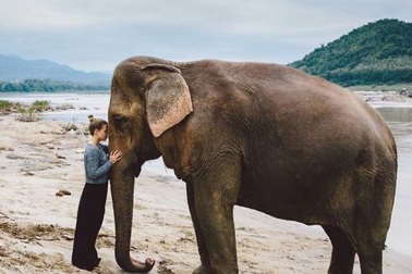 Những bức ảnh khiến bạn phải suy nghĩ lại về mục đích sống của mình