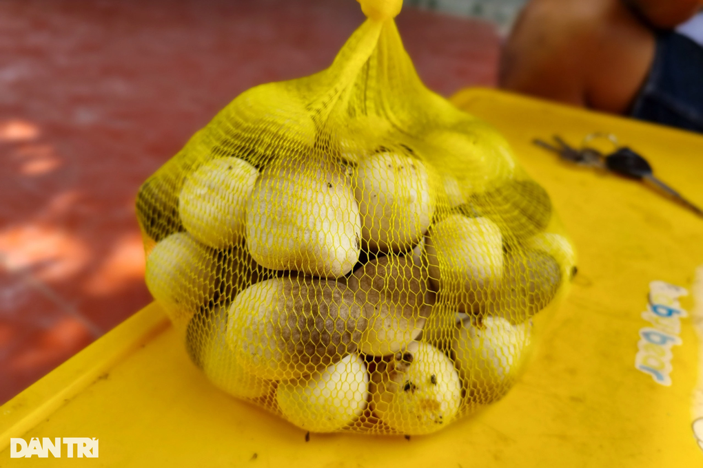 Trồng nấm rơm, mỗi tháng chỉ bán 2 ngày, thu lãi 45 triệu đồng - 4 Trồng nấm rơm, mỗi tháng chỉ bán 2 ngày, thu lãi 45 triệu đồng - 4