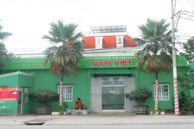 Công ty Thực phẩm và Nước giải khát Nam Việt chinh phục thị trường quốc tế