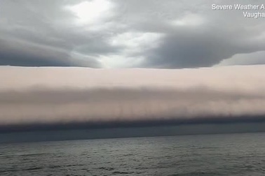 Kỳ lạ đám mây khổng lồ hình cá voi giăng ngang bầu trời