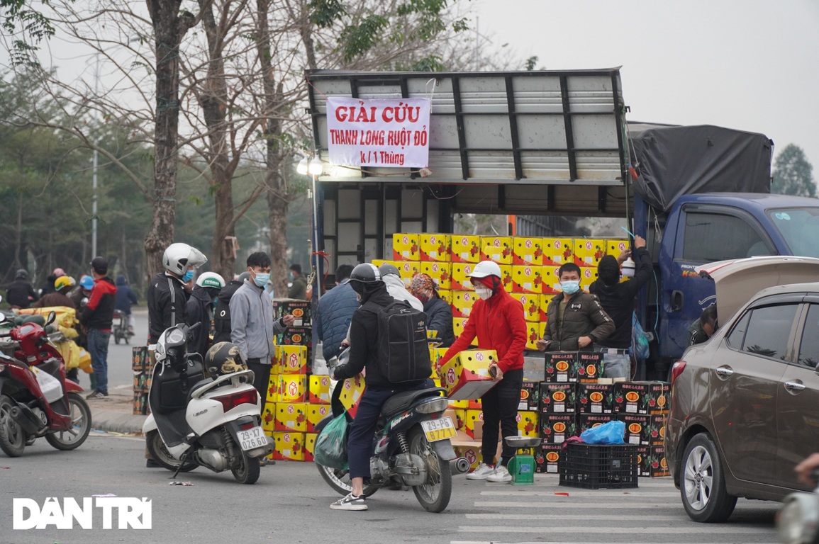 Thanh Long giải cứu tràn vỉa hè giá rẻ bèo, người Hà Nội ùn ùn mua ủng hộ - 5 Thanh Long giải cứu tràn vỉa hè giá rẻ bèo, người Hà Nội ùn ùn mua ủng hộ - 5