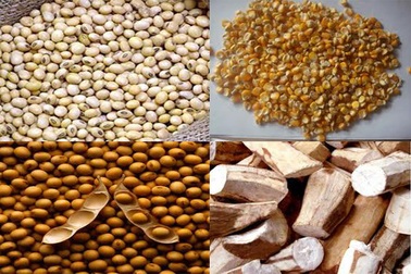 8 tháng, nhập khẩu gần 2 tỷ USD thức ăn chăn nuôi