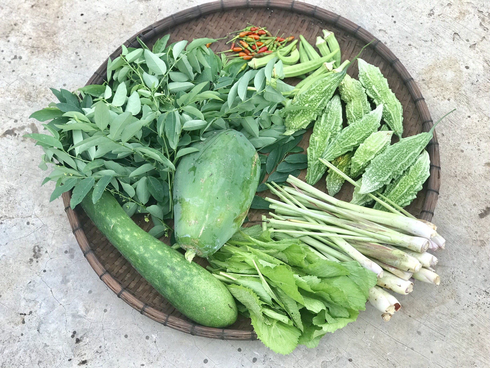 Gia đình Đắk Lắk làm vườn trái cây rộng 500m2 cho các con ăn thỏa thích - 15 Gia đình Đắk Lắk làm vườn trái cây rộng 500m2 cho các con ăn thỏa thích - 15