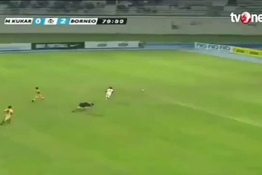 Báo nước ngoài ngả mũ trước tốc độ kinh hoàng của cầu thủ Indonesia