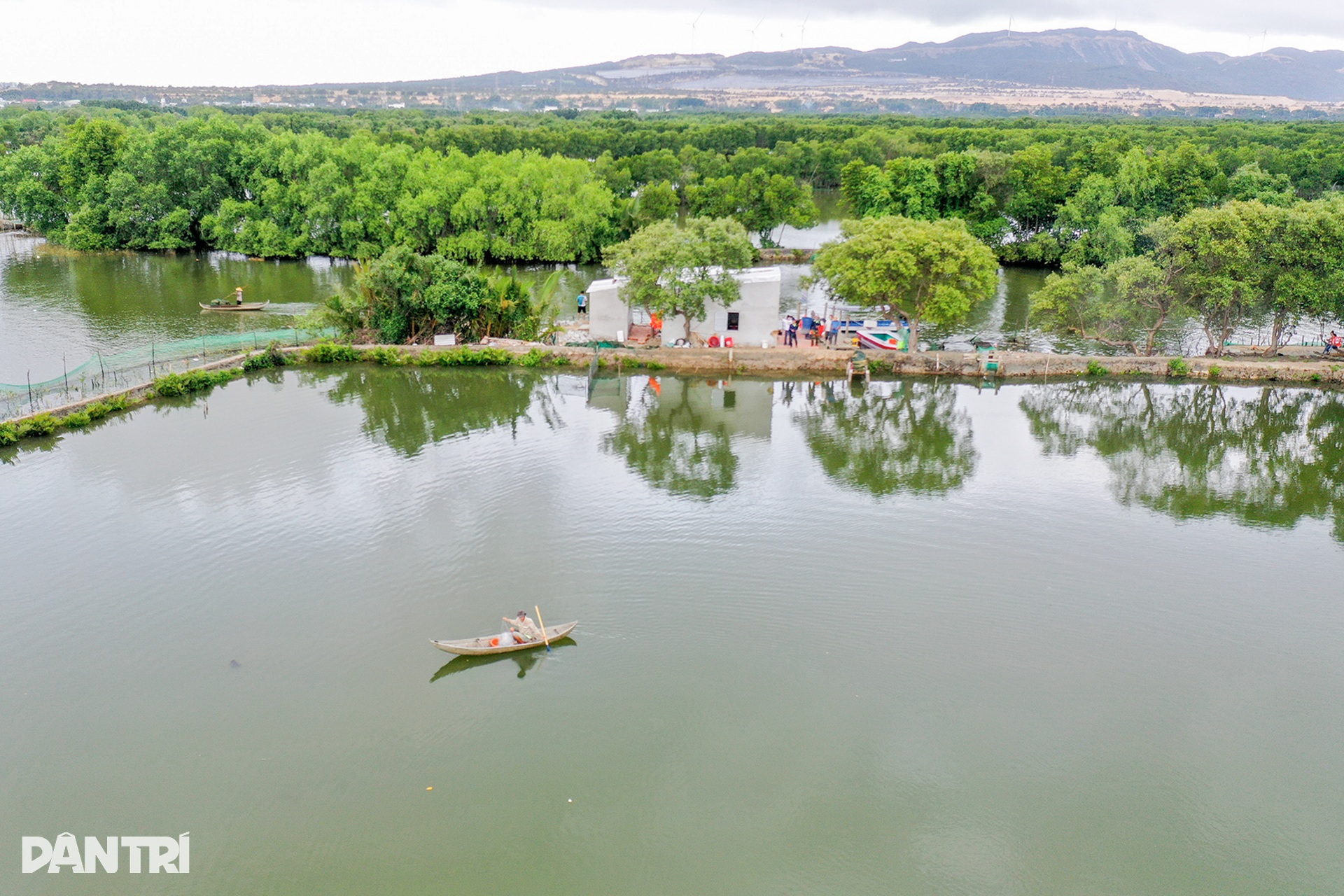 Cồn chim, điểm đến hấp dẫn du khách ở Bình Định - 7