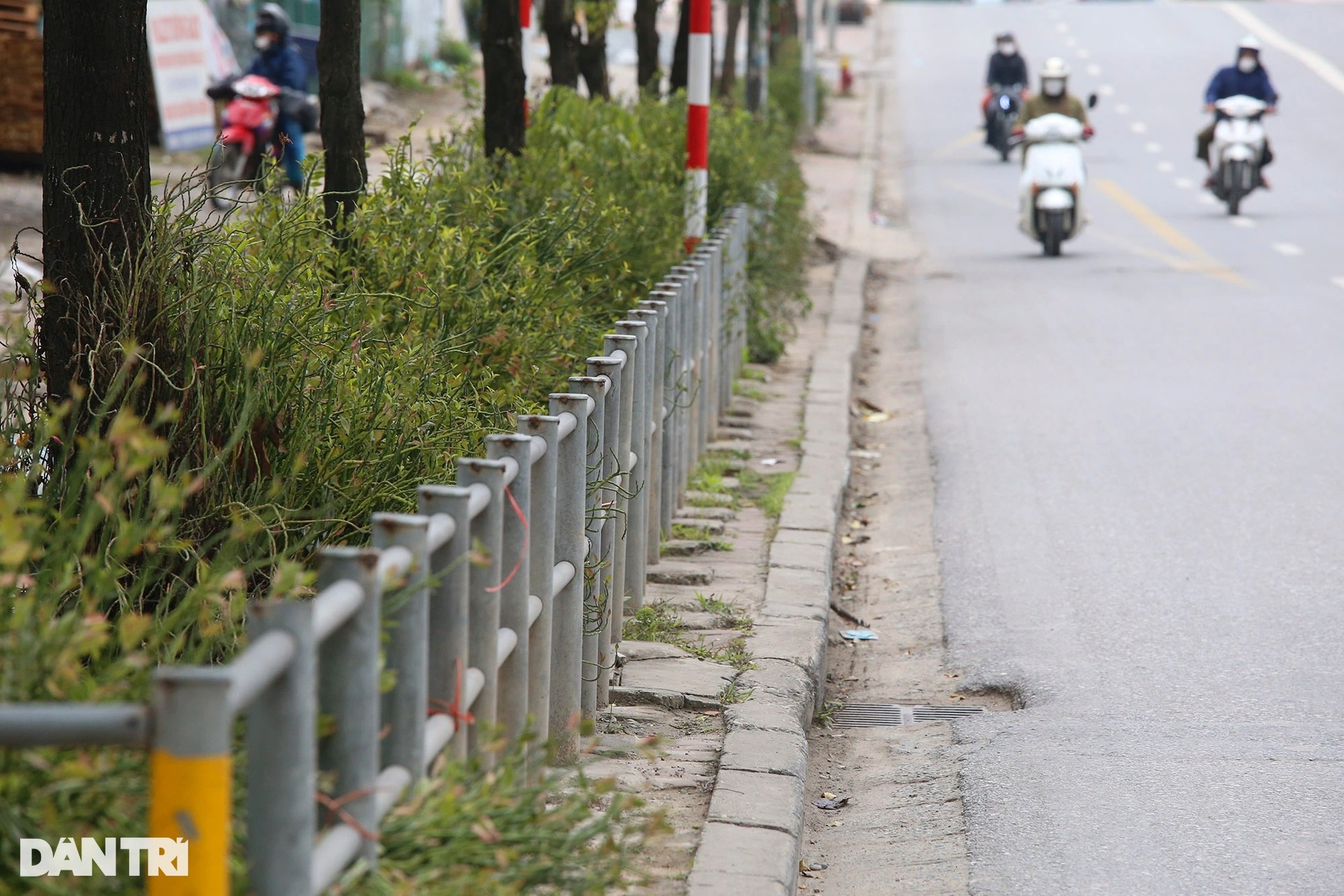 Rào chắn vỉa hè ngăn xe máy gây khó, người đi bộ bất đắc dĩ phải trèo qua - 14 Rào chắn vỉa hè ngăn xe máy gây khó, người đi bộ bất đắc dĩ phải trèo qua - 14