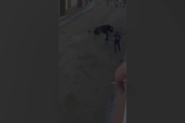 Đoạn video clip ghi lại cảnh bò tót tấn công chí tử người tham gia lễ hội