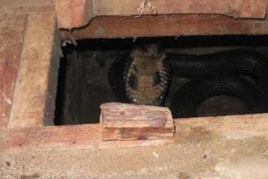 Dựng tóc gáy ở “làng tử thần”