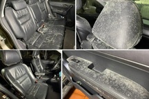 Ba tháng không đi ô tô, chủ xe hoảng hốt khi mở cửa kiểm tra