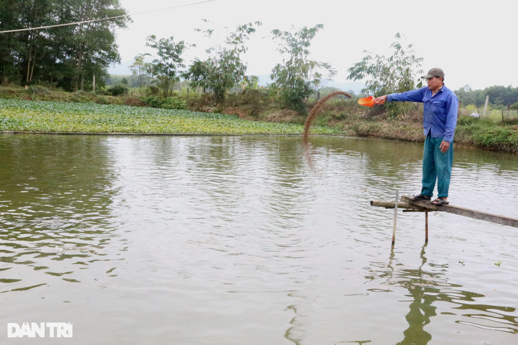 Nuôi loài cá háu ăn, anh nông dân thu lãi lớn - 1 Nuôi loài cá háu ăn, anh nông dân thu lãi lớn - 1