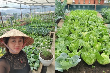 Gia đình Yên Bái "bê" ruộng rau, mương nước và trại gà 30 con lên "nóc nhà"