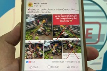 Vụ xe tải lao vào chợ chuối: Ảnh sai sự thật làm bằng AI tràn lan trên mạng