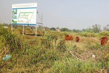 Dự án KCN An Nhựt Tân chậm tiến độ và vướng nhiều sai phạm