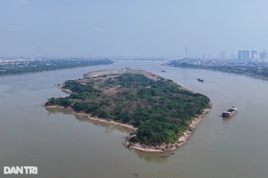 Doanh nghiệp trúng đấu giá 3 mỏ cát nghìn tỷ không đồng ý hủy kết quả